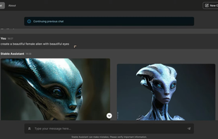 Stable Assistant screenshot 2