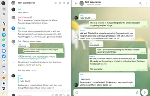 mautrix-telegram screenshot 1
