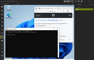 Remote Desktop (RDP)