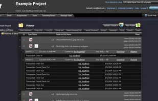 View file version and transaction history.