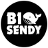 BigSendy icon