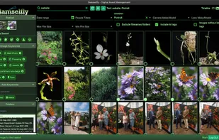 Damselfly screenshot 1