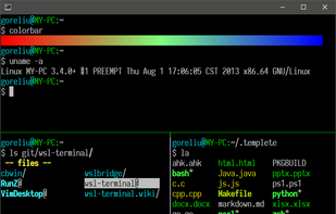 wsl-terminal screenshot 1
