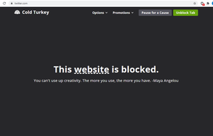 Cold Turkey screenshot 1