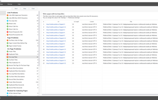 RiveSolutions SEO Spider screenshot 1