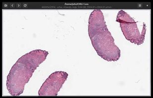 Even very large images open quickly