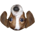 FrankerFaceZ icon
