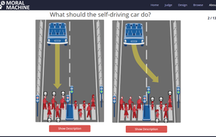 Moral Machine screenshot 1
