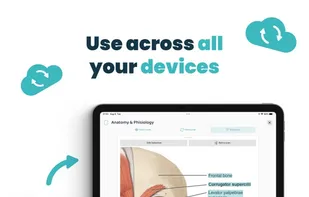 Voovo: AI Study Flashcards screenshot 1