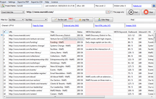 IziSEO main interface after a website is crawled