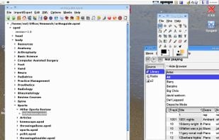 Linux (KDE)