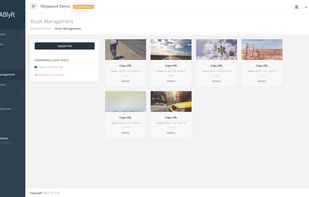 Integrated Asset Management