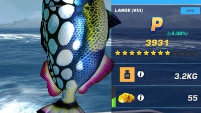 Fishing Clash - Apps on Google Play