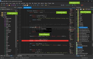 Rapid PHP screenshot 1