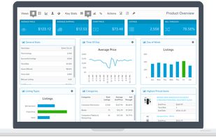 Terapeak screenshot 1