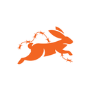 Hastewire icon