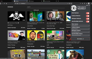Privacy Redirect screenshot 2