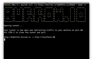 3. Now open a terminal and paste the command to start the tunnel. Once the tunnel is open you can access it using the URL generated.