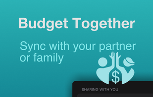 Optionally, you can collaborate on your expenses management