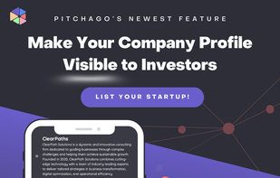 Pitchago screenshot 2