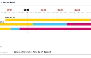Component lifecycle gantt chart, for sharing with customers and stakeholders.