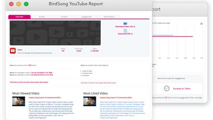 BirdSong Analytics screenshot 1