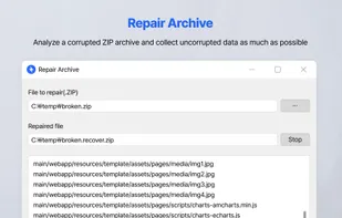 Repair Archive (paid edition)