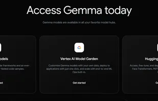 Google Gemma screenshot 2