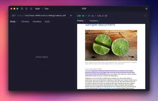 Visual previews for JSON, XML, web pages, images, video, audio, and PDFs