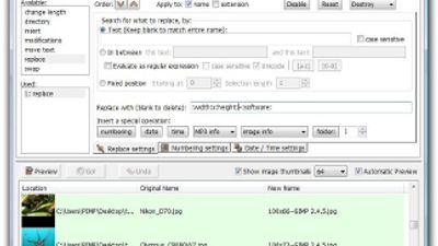 Renamer panel, Vista: