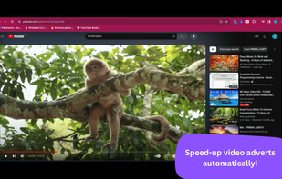 Ad Speedup screenshot 1
