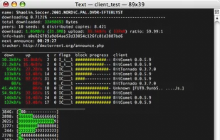 libtorrent screenshot 1