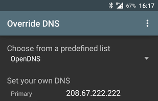 Override DNS screenshot 1