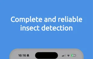 Insect Scan screenshot 2