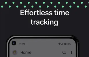 Teamwork.com screenshot 2