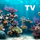 Aquarium HD icon