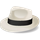 Sinatra icon