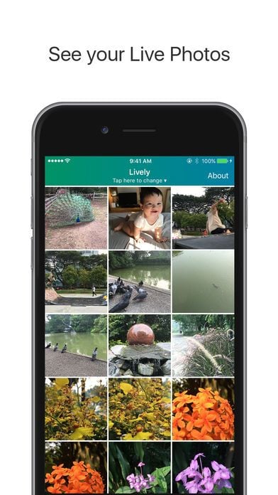 Motion Stills – Create beautiful GIFs from Live Photos – Google