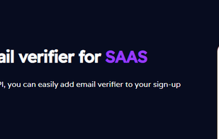 The Email Verifier screenshot 3