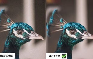 AVCLabs Photo Enhancer AI screenshot 1