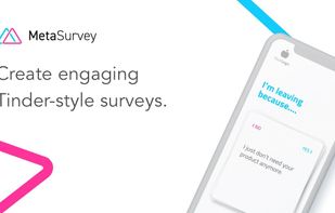 MetaSurvey screenshot 1