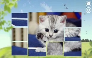 Cat The Jigsaw Puzzle Free screenshot 2