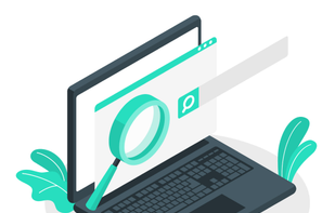 essayreviews247.com screenshot 1