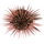 UTM Stripper icon