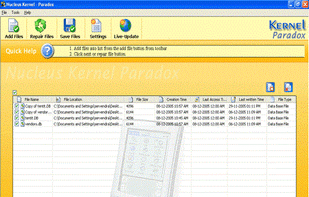 Kernel for Paradox Recovery screenshot 1