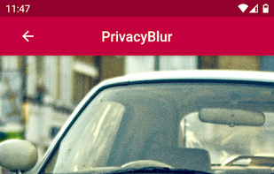 PrivacyBlur screenshot 3