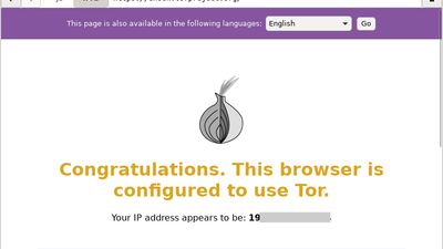 Tor Check Page