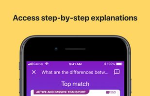 Socratic screenshot 2