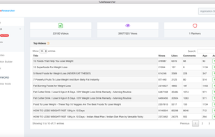 TubeResearcher screenshot 2