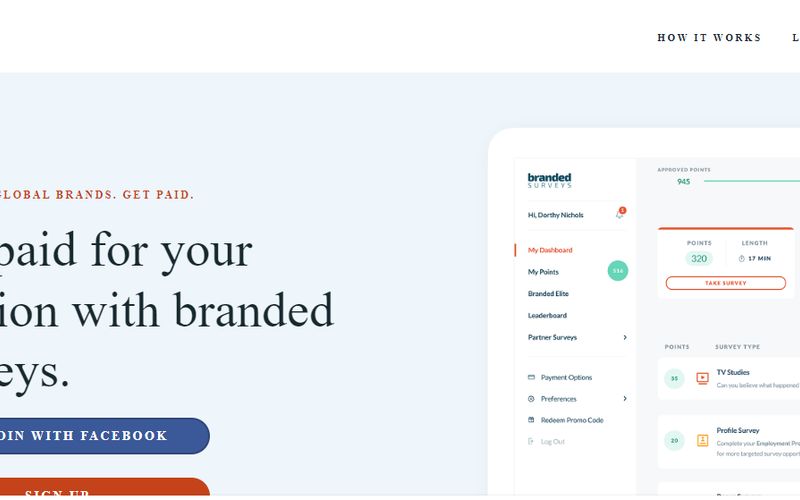 How Branded Surveys Works
